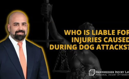 Let’s Talk Law – Episode 1: Dog Attacks